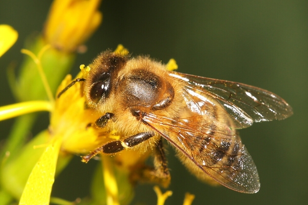 310708-thakurova.jpg 310708-thakurova.jpg